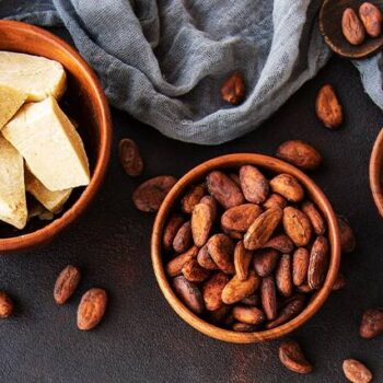 Propiedades Curativas de la Manteca de Cacao para la Piel